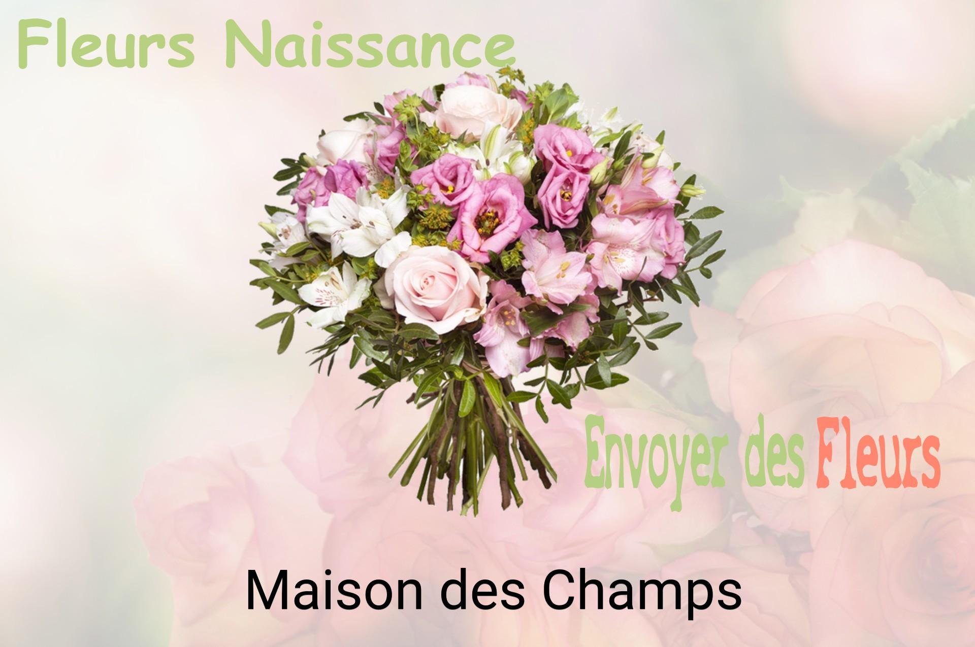 Bouquet de fleurs de naissance livré à Maison-des-Champs