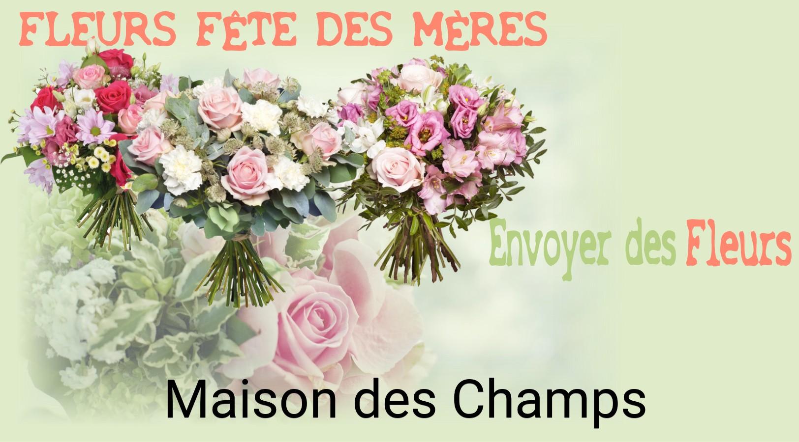 Bouquet de Fête des Mères livré à Maison-des-Champs